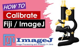 How to calibrate ImageJ Fiji  Scale bar in ImageJ  Calibrating stage micrometer Urduहिंदी [upl. by Dow]