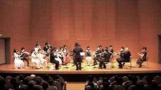 Dvorak Serenade for String Orchestra 3rd movMusik Siesta 3 [upl. by Nuavahs]