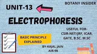 Unit13 Electrophoresis  Basic principle Types  Agarose Gel  CSIRNET JRF II [upl. by Georas56]