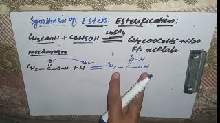 Esterification Synthesis of Ester Mechanism 2nd year chemistry unit 13 mzkchemistry [upl. by Davidoff]