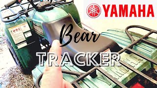 YAMAHA ATV  Bear Tracker 250 2003 Can We Get it Running [upl. by Sisi]