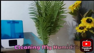 Cleaning My HumidifierVlogtober Day 9 [upl. by Conah406]