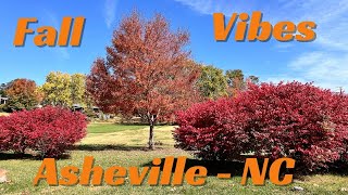 Happy jazz for autumn vibes in Asheville NC  Beaver Lake [upl. by Ebanreb]