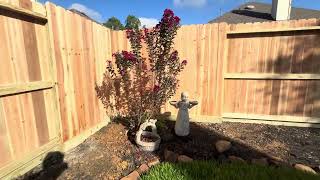 Cedar Wood Privacy Fence with Rot Board 20240919 [upl. by Claudette309]