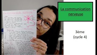 La communication nerveuse  3ème  Madame SVT [upl. by Eiliak326]