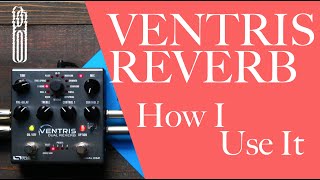 How I Use VENTRIS REVERB [upl. by Alicia]