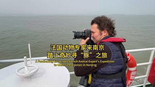 A Fascinating Encounter French Animal Experts Expedition to Observe Porpoises in Nanjing [upl. by Lednor985]