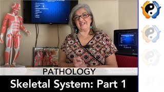 Skeletal System Pathologies Part 1 [upl. by Raoul]