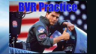 F14 vs F18 BVRWVR Practice [upl. by Blackmore]