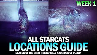 All Starcat Locations Guide  Week 1 Blind Well amp Garden of Plenty Destiny 2 [upl. by Gnos]