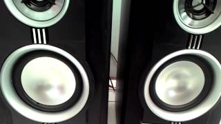 ACTIVE SPEAKER POLYTRON [upl. by Elyk808]