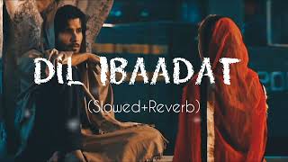 Dil Ibaadat Kar Raha Hai  New lofi song  sad hindi slowedreverb lofi slowedandreverb [upl. by Analise671]