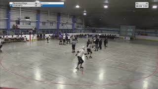 FTF 2024 Game 2 Glenmore Reservoir Dogs vs Toronto Mens Roller Derby [upl. by Anawait]