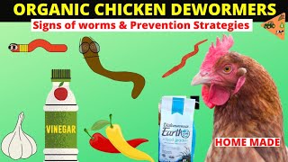 HOW TO MAKE ORGANIC DEWORMER FOR CHICKEN Signs amp Preventing worms infestation in Chicken NATURALLY [upl. by Vanya650]