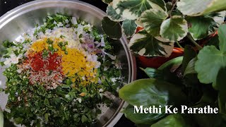 How to make Methi Paratha  Healthy Methi Paratha Recipe [upl. by Mazurek294]