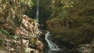 CASCADAS DE LAMIÑA CANTABRIA [upl. by Watters]