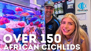 The LARGEST African Cichlid Supplier Aquarium Central Tour [upl. by Kellie]