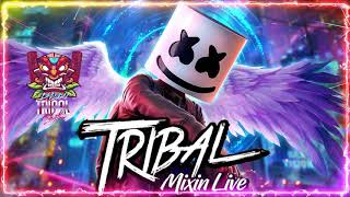 Mega Mix Tribal Tumbado 20212022 Para Bailar  Lo Mas Chingon Del Tribal Mix [upl. by Rheba]