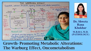 Growth Promoting Metabolic Alterations The Warburg Effect  Oncometabolism  Autophagy [upl. by Aslam]