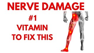 Repair Your Damaged Nerve with Just 1 Vitamin [upl. by Edny]