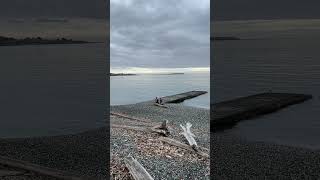 🇨🇦 Ross Bay Pebbles Beach  Victoria BC [upl. by Auburta]