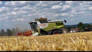 Žně ječmene  Zeas Podorlicko as  Claas lexion 760tt 770 550 [upl. by Namilus]