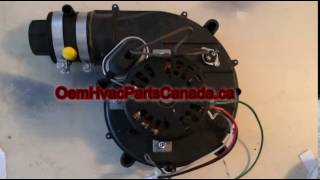 AIC34589 York Inducer Motor S132434589000 2 stage Motor [upl. by Elleined]