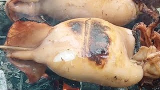 Grilling Time foodlover grilledsquidandeggplant subscribemychannel viral yummyfood [upl. by Klusek]