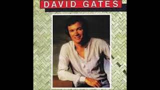 INSTRUMENTAL DAVID GATES TAKE ME NOW [upl. by Cirted]