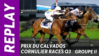 Gold Voice sur le fil dans le Prix du Calvados Cornulier Races Q3 GRII  Vincennes  070124 [upl. by Elleda584]