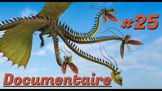 Dragons  Le Documentaire 25  Le Rapidopiège [upl. by Risan496]