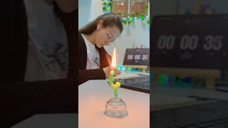 escandalosa ridícula horrível deplorável estudos estudecomigo direito vlog daily velas [upl. by Gaskins]