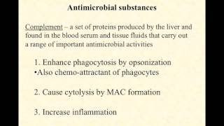 BIO2020 Episode 061 innate immunity complement interferon [upl. by Anelyak]