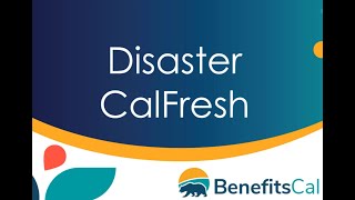 BenefitsCal Disaster CalFresh [upl. by Edyth6]