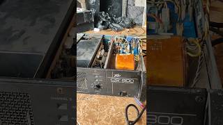 Peavey cs 800 repair [upl. by Aisaim]