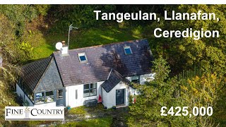 Tanguelan Llanafan Ceredigion  Video Tour  Fine and Country West Wales [upl. by Annovy]