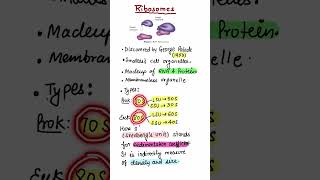 ShortRibosomeCellNCERTNEETBiilogy [upl. by Harley]