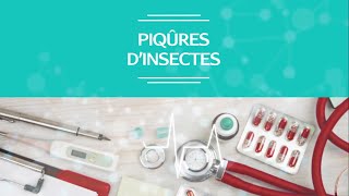 Piqûres dinsectes  comment les reconnaître les soigner les éviter [upl. by Kylynn]