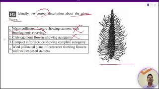 Identify the correct description about the givenfigure1 Water pollinated flowers showing stamens [upl. by Ailama]