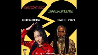 SHENSEEA amp HALF PINT  DATING SZn Reggae Remix FULL TRACK By DJ CRIS CROSS [upl. by Hanae]