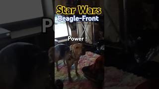 Star Wars BEAGLEFront with Emperor PUPatine ftDarthBriBoy starwars flutterpie beaglepup [upl. by Ahsenal22]