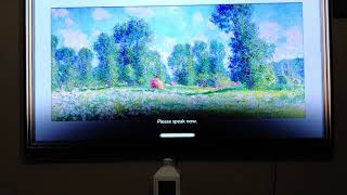 How to split your TV into 2 screens [upl. by Thurstan]