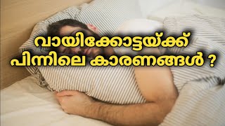 വായിക്കോട്ട എങ്ങനെയാണ് ഉണ്ടാകുന്നത്newvideonewfacts newyoutubevideo newsciencefacts subscribe [upl. by Jerrilyn]