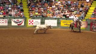 Fort Worth Stockyards Rodeo [upl. by Britt540]