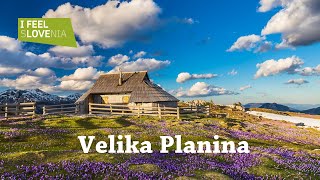 Tour of Slovenia 2022 Velika Planina Kamnik [upl. by Joub939]