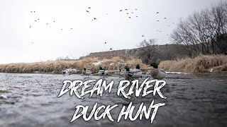 Beau Hunting  Freezing Cold River Duck Hunt quotThousands Of Mallardsquot [upl. by Keese]