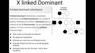 X linked Dominant [upl. by Karame]