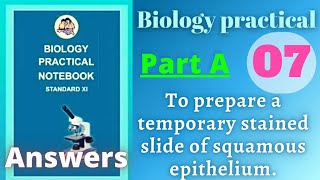 To prepare temporary stained slide of squamous epithelium biology practical class 11 experiment 7 [upl. by Ahsienod]