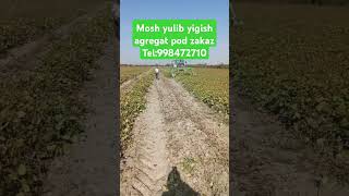 Mosh yulib yigish agregat pod zakaz automobile farming agriculture fargonamashinabozorinarxlari [upl. by Theurich]