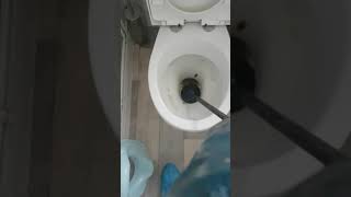 How to unblock a toilet [upl. by Adlare]